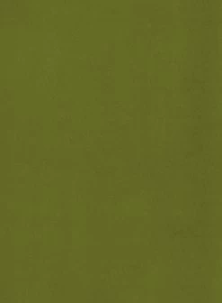 Habitat Alexis Velvet Cocktail Chair - Olive 11 Habitat Alexis Velvet Cocktail Chair - Olive -Habitat Shop 1341287 R B001