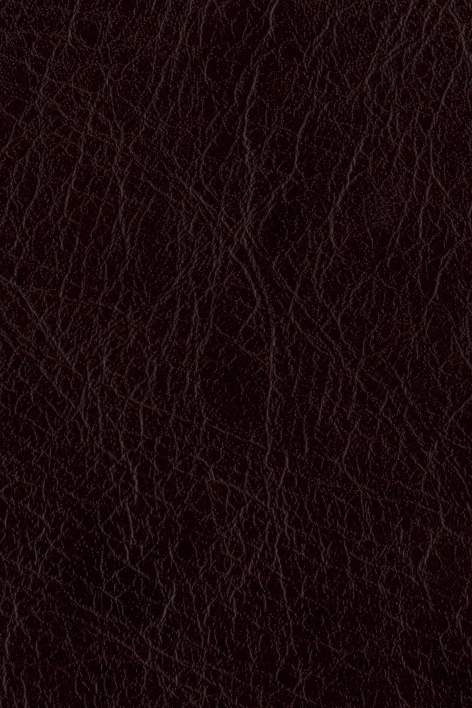 Habitat Salisbury Leather 4 Seater Sofa - Chocolate 3 Habitat Salisbury Leather 4 Seater Sofa - Chocolate - Image 3